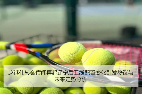 赵继伟转会传闻再起辽宁后卫线配置变化引发热议与未来走势分析